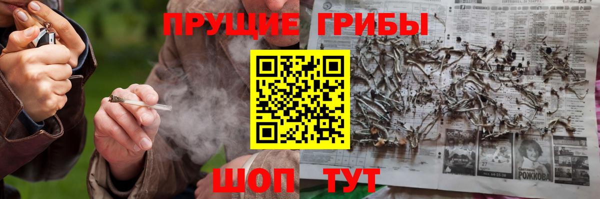 Галлюциногенные грибы Magic Shrooms Еманжелинск